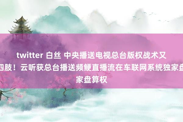 twitter 白丝 中央播送电视总台版权战术又有新四肢！云听获总台播送频鲠直播流在车联网系统独家盘算权