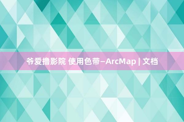 爷爱撸影院 使用色带—ArcMap | 文档