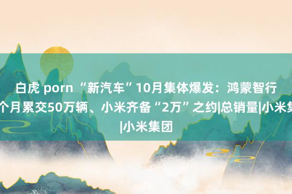 白虎 porn “新汽车”10月集体爆发：鸿蒙智行32个月累交50万辆、小米齐备“2万”之约|总销量|小米集团